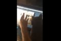画面に映る猫をナデナデすると…ジェラシーを感じた飼い猫が激おこ→まるでコントみたいな展開に!?