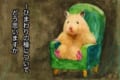 『ひまわりの種についてどう思いますか？』ハムスターにインタビューしたイラストが最高！