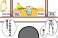 『値段=命の重さ』ではない!最低限の知識も習得しないまま生き物を飼わないで!