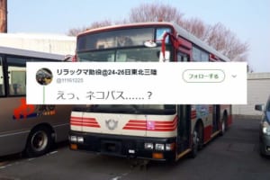 あなたは気がついた…？この一見普通のバスが『ネコバスだ』と話題になっている理由