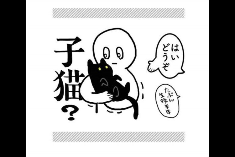 猫ってこんな生き物だっけ?『はじめて猫を飼ったとき』の漫画が初々しくてイイ