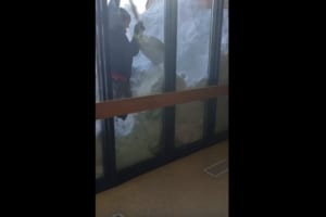 屋根から落ちてきた雪うさぎが埋もれてしまった！！雪をかき出して無事に救出！