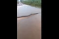 ブラジルのとある農村で想像を絶するレベルの巨大なアナコンダの映像に驚愕!