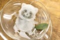 カップの中でぷかぷか浮かぶ♪ 可愛らしい“タヌキのティーバッグ”が登場!
