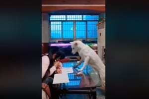 宿題をやりながらスマホを見る娘…監視するようにワンコをしつけたら、娘の宿題がはかどるようになった