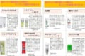 歯が大好き&歯のオタク歴20年目の歯科衛生士がオススメする歯磨き粉&ジェルが話題に!