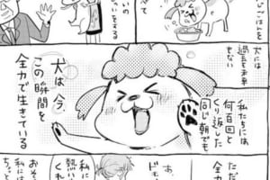 「犬と猫どっちも飼ってると早起きも寝坊もなんでも楽しい」を描いた漫画に共感の声