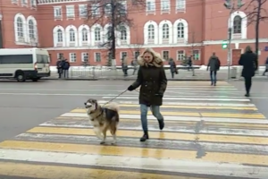 え？二足歩行！？信号の渡り方が独特なロシアのワンちゃん