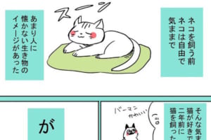 あれ？思ってたのと違っ…猫に対するイメージとは真逆だった愛猫の行動に思わず胸キュン