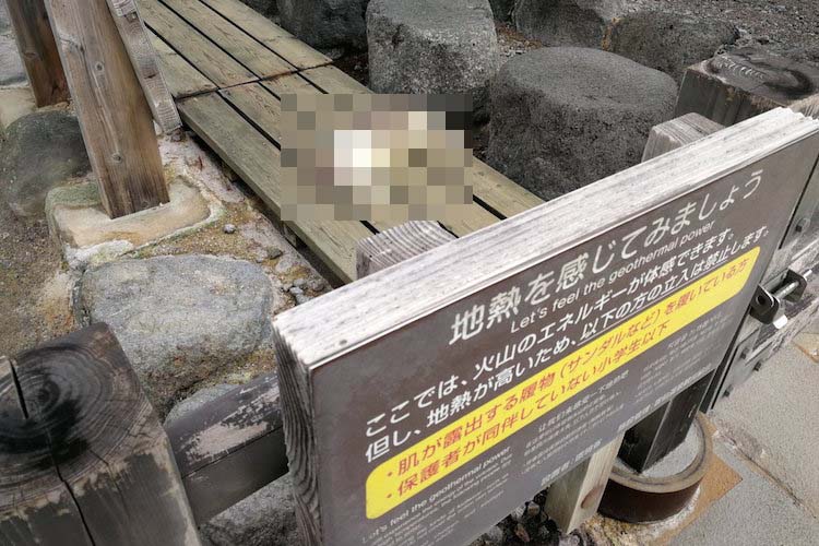 めっちゃ言うとおりにしてる(笑)看板の言葉をそのまま体現しているある動物の姿に爆笑