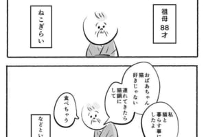 ねこぎらいな88歳のおばあちゃんが猫と出会ったら…？実話を描いた漫画にほっこり