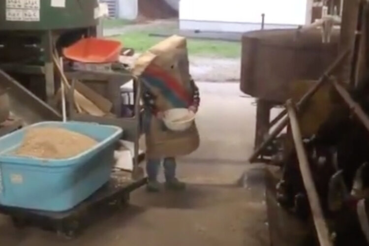 可愛すぎてめちゃくちゃ癒される！雷が鳴ったときの「餌袋マン」に扮した子供の行動が可愛すぎ！