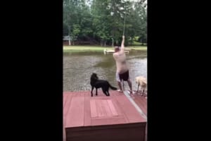 パパを助けるんだワン！池に落ちた飼い主を助けようと、すかさず池に飛び込んだ2匹の飼い犬