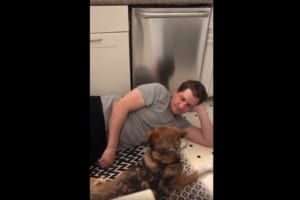 「なんでやめちゃったんだワン！？」背中をナデナデしている手をとめると、ワンコの強烈なパンチが炸裂！