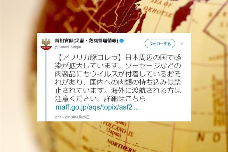 首相官邸の公式アカウントが注意喚起!日本周辺の国でアフリカ豚コレラの感染が拡大