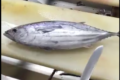 見ていて爽快!魚屋のお兄さんがさばく「鰹の三枚おろし」がスゴすぎる!