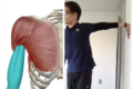 デスクワークの方必見!パソコン作業で凝り固まった腕に効くストレッチが話題に