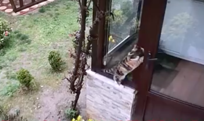 家主の留守中 勝手にドアを開けて好き放題荒らす侵入者が 防犯カメラに映っていた犯人とは Fundo