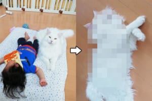 子どもに添い寝する“守り神”のような猫ちゃん…傍を離れた途端に寝相が変わりすぎだと話題に！