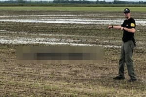 通報を受けて保安官が田んぼに駆けつけると、そこには信じがたい光景が！