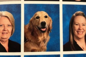 生徒達の心に寄りそっていた介助犬に対する学校の粋な計らいに反響「なんて素敵なアイディア！」