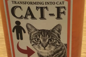 クオリティー高っ！！『ネコになれる薬』を娘におねだりされたパパ、そのリクエストに全力で応える