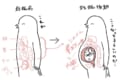 「まさにこの感じ」「尊敬します」妊娠中のツラさが分かるイラストに共感の嵐&リスペクトの声