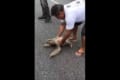 道路に迷い込んでいたナマケモノを救助!安全な場所へ連れて行ってあげると、笑顔でお礼をしてくれた!?