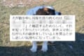 「歩きスマホしながら犬の散歩をしている人を見ると悲しくなる…」犬の気持ちに関するツイートが話題に
