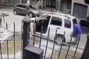 飼い主に突然襲いかかった強盗犯を2匹の愛犬がすかさず追い払う！電光石火の救出劇が話題に