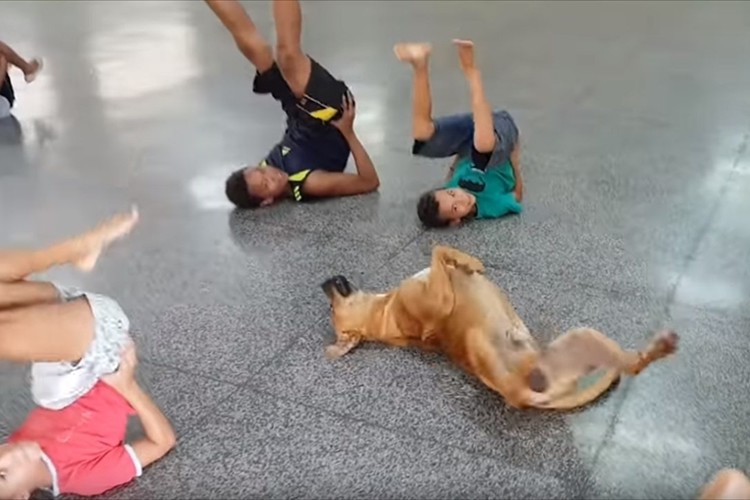 ダンスレッスンに可愛らしい生徒が参加!子供達の動きを真似する姿が可愛すぎる♪
