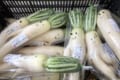 「こういった手段で売る方法もあるんですね!」形が悪くて通常は廃棄になる大根を可愛らしく商品化!
