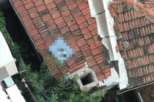 犬用枕を窓から落としてしまった…下を見てみたら「こりゃ仕方ないな」という光景が広がっていた