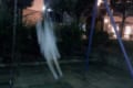 純白のワンピース着てブランコを漕いだら...まさかの“心霊写真”になっちゃった!