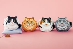 キュッと結ぶとまるくなる♪ 「猫のまんまるきんちゃく」がめちゃめちゃ可愛い