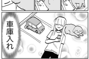 車庫入れや縦列駐車のような動きが可愛すぎ！まるで車みたいなトイ・プードルの甘え方に胸キュン