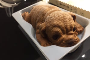 本物そっくりでビックリ！上海のファミマにある「犬のアイス」が可愛すぎてちょっと食べづらいかも！？