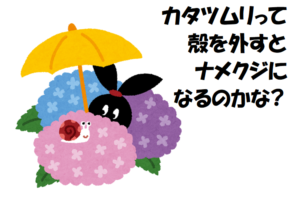 カタツムリの殻を取ったらナメクジになる？ならない？明確にあった違いを解説