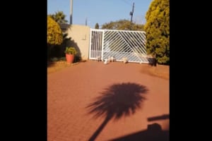 ワンコたちに混じってワンワン吠える真っ白な生き物…。その正体に思わずビックリ！