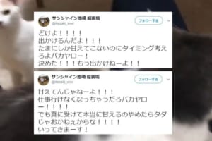 サンシャイン池崎の裏アカウントが“悪口ばかり”と判明するも、ニャンとも可愛らしい投稿ばかりだった