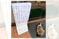 「店長の生まれ変わりかもしれませんね」セブンイレブンの入口から離れない猫と貼り紙が話題に