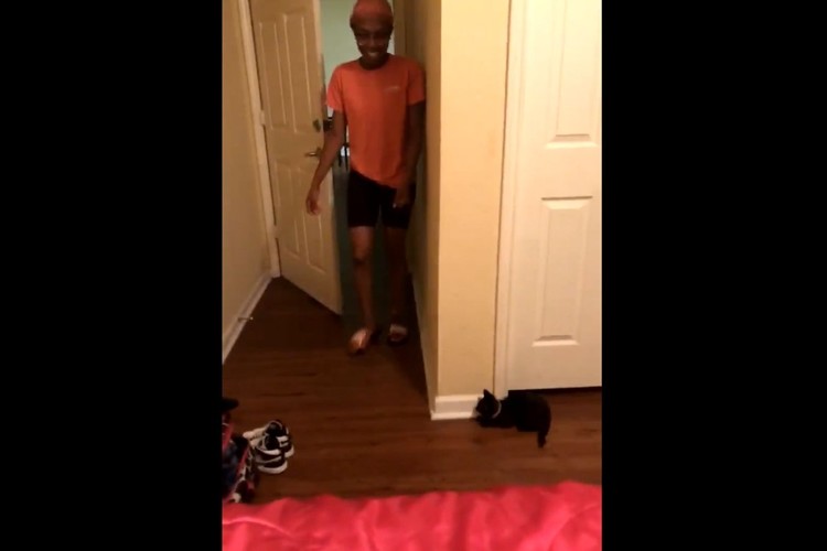 ドッキリを敢行!飼い主さんをビックリさせようとする子猫の一挙手一投足が可愛らしい♪