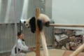わちゃわちゃ動き回るパンダの赤ちゃんと飼育員さんのやりとりが、まるでコントのようだと話題に！