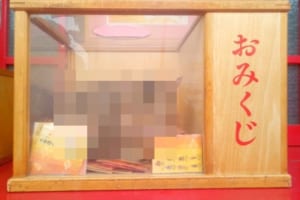 「きみはおみくじではないはず」かつて見たことのない斬新な“おみくじ箱”が話題に！