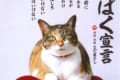 関白宣言…じゃない！？日本動物愛護協会の「にゃんぱく宣言」がめちゃくちゃ良いと話題に