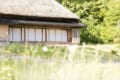 【自由研究】すいっちょんって鳴く虫の正式名称は?どんな虫?