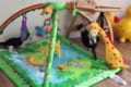 確かにベビーだけど...(笑)ベビージムがまさかの子猫の遊び場になってしまった!