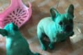 フレンチブルドッグがエイリアンみたいになっちゃった!ワンコが緑色に染まってしまった理由とは?