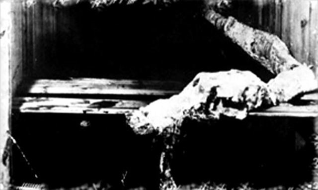 キャディの死骸といわれているもの