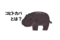 世界三大珍獣「コビトカバ」の生態とは!?赤ちゃんに会える日本の動物園も紹介!